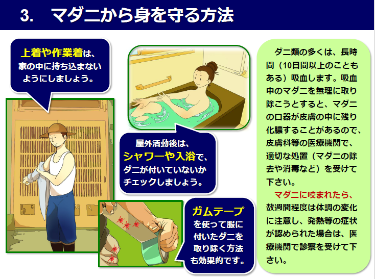 マダニから身を守る方法