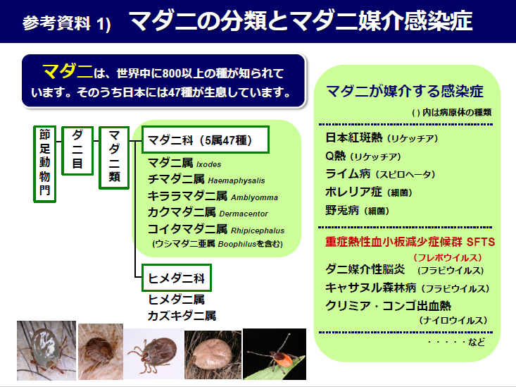 マダニの分類とマダニ媒介感染症