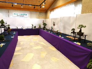 紫色の台の上に様々な盆栽が展示されている写真