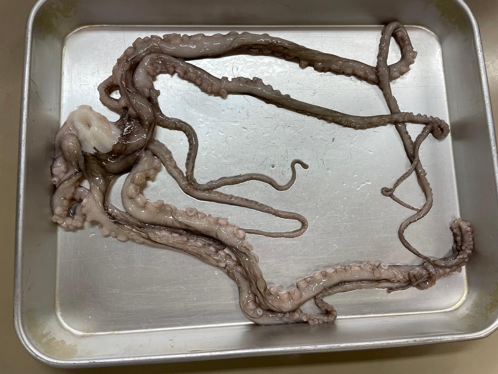 料理教室
