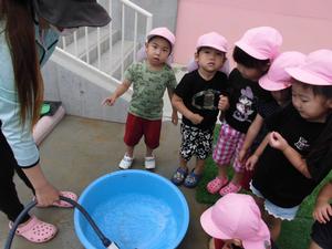 たらいの中にホースで水が流れている様子を観察する子供たちの写真
