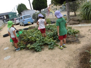 植え込みの植物に水をあげる子供たちの写真