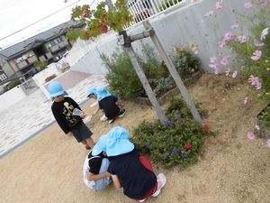 花壇の周りに住む生き物を探している子供たちの写真