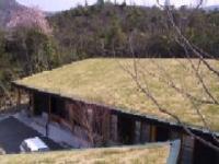 森を背に横長の建物があり屋根の芝が黄土色の中に緑がところどころ混じっている様子の写真