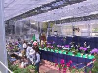 温室の展示室の全体が見える一角から撮影した写真