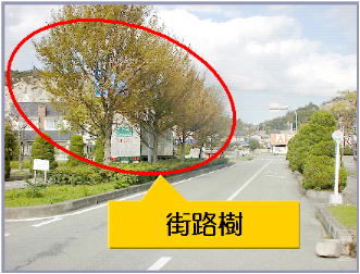 道路脇の紅葉した街路樹を示した写真