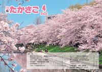 広報たかさご4月号(No.901)表紙