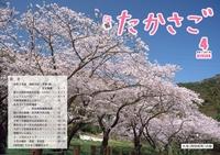 広報たかさご4月号(No.913)表紙