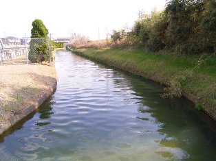 緑地の中を水路がゆっくりと通っている写真
