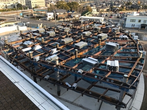 新本庁舎建設工事の様子を定点カメラが2020年12月11日に撮影した写真
