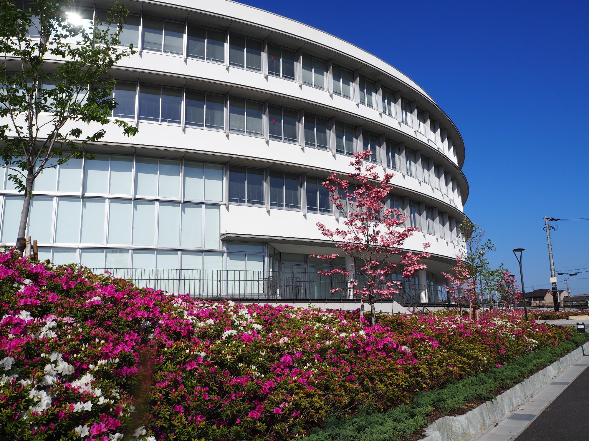 hirado01