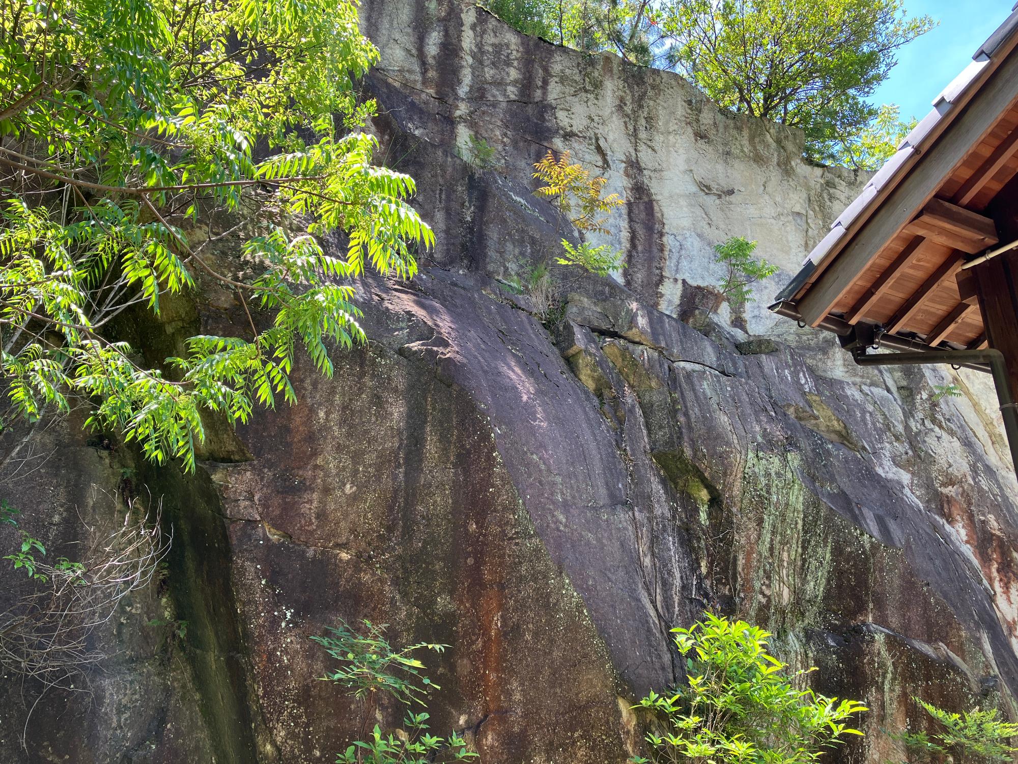 山の斜面の状況