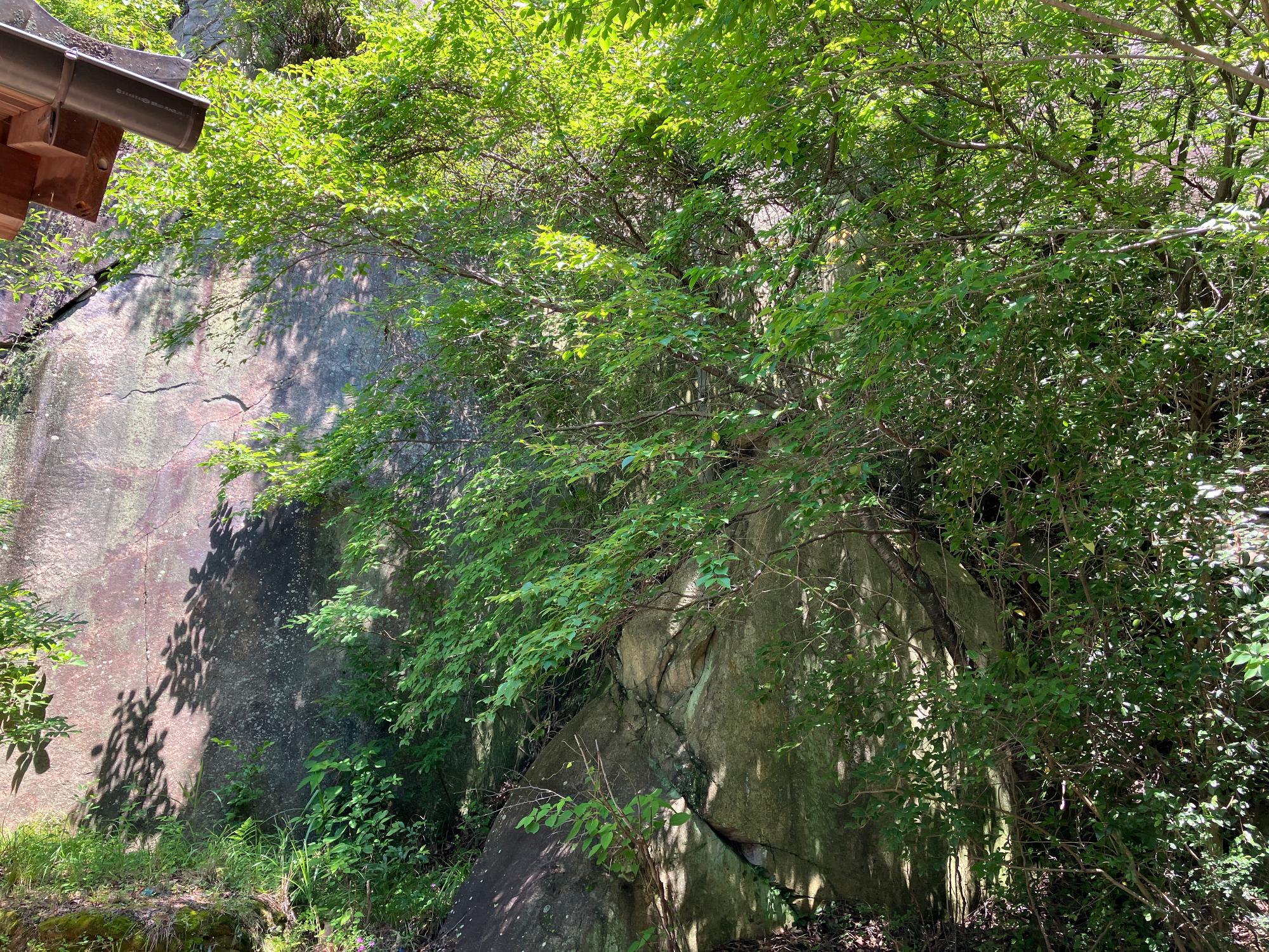 山の斜面の状況