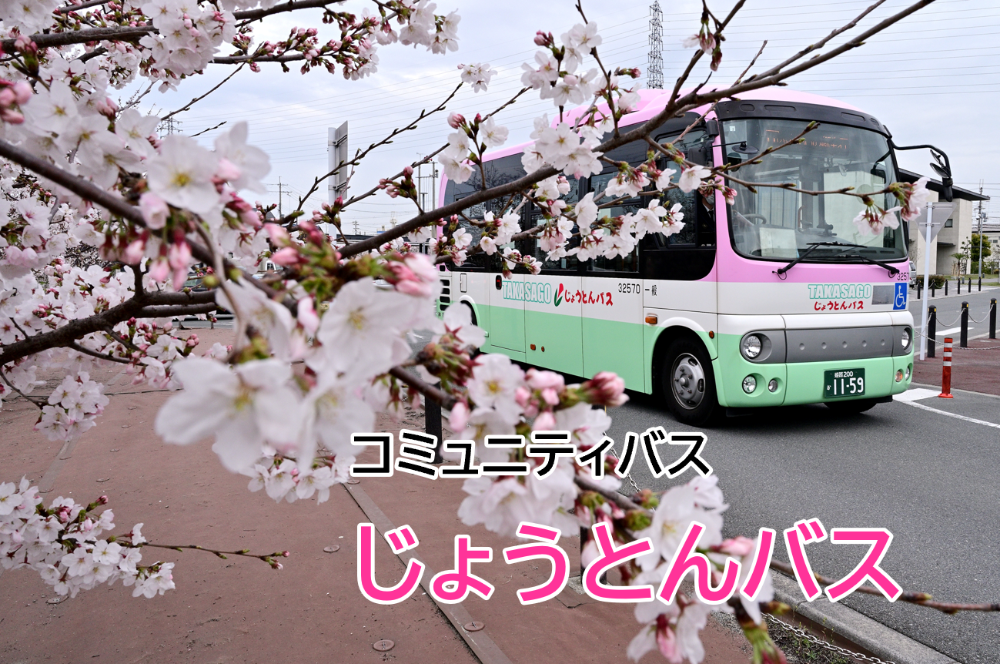 コミュニティバス(じょうとんバス)