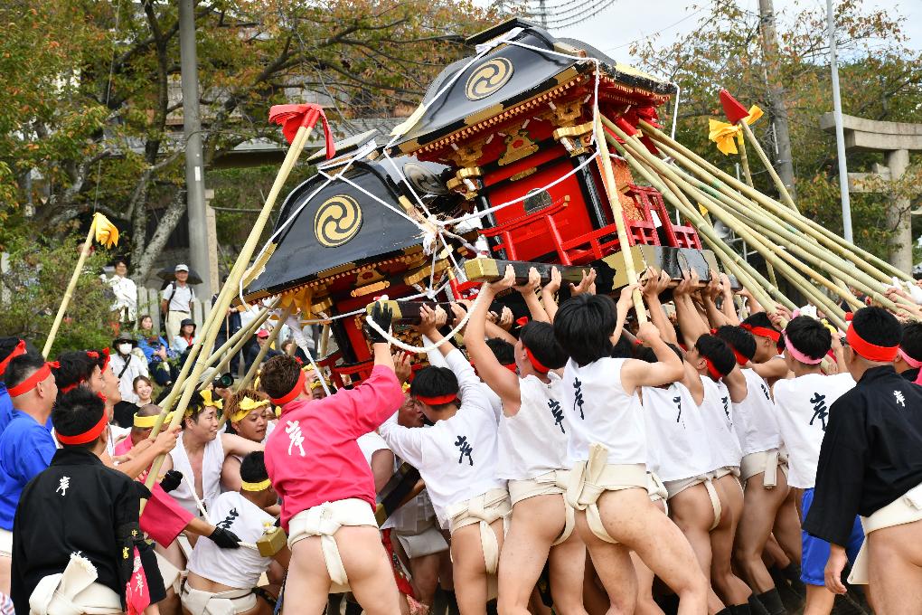 生石神社神輿練り合わせ