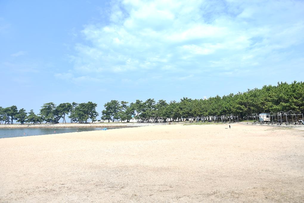 向島・高砂海浜公園の砂浜と青空と松林