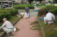 茂みの周りにしゃがみこんで、除草作業をしている人たちの写真