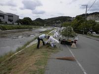 道端にしゃがみこんで、草地の上で作業している人たちの写真