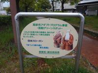 芝生の上に、高砂市アダプトプログラム事業の看板が立っている写真