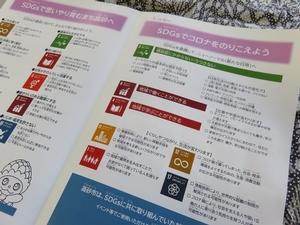 SDGsのそれぞれのロゴの意味が説明されている私のSDGs宣言パンフレットの中面の写真