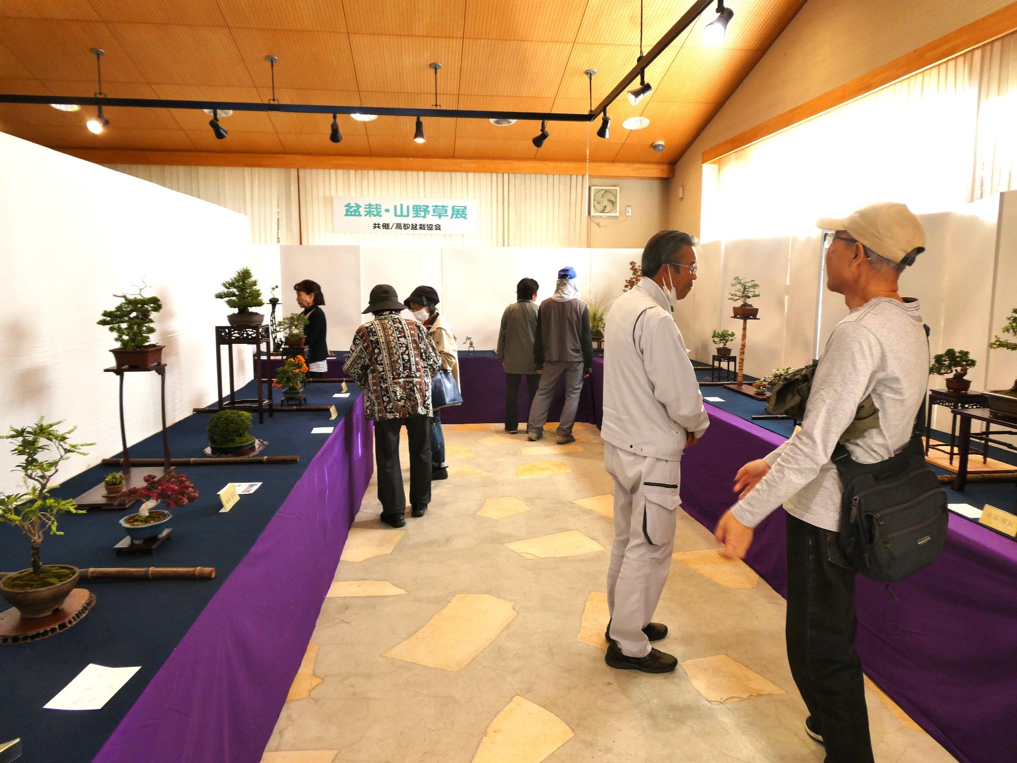 盆栽展の様子