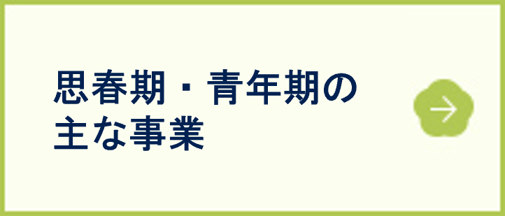 思春期・青年期の主な事業