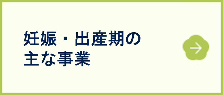 妊娠・出産期の主な事業
