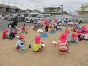 先生からトマトの苗が配られるのを待つ子供たちの写真