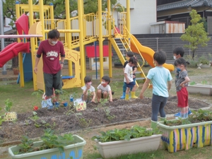 園庭の土の掘り返された菜園を取り囲むように集まっている子供たちの様子の写真