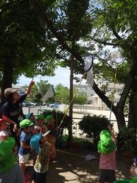 先生が左手の人差し指で指差す木の方向へ一斉に虫取り網を振るう園児たちの写真