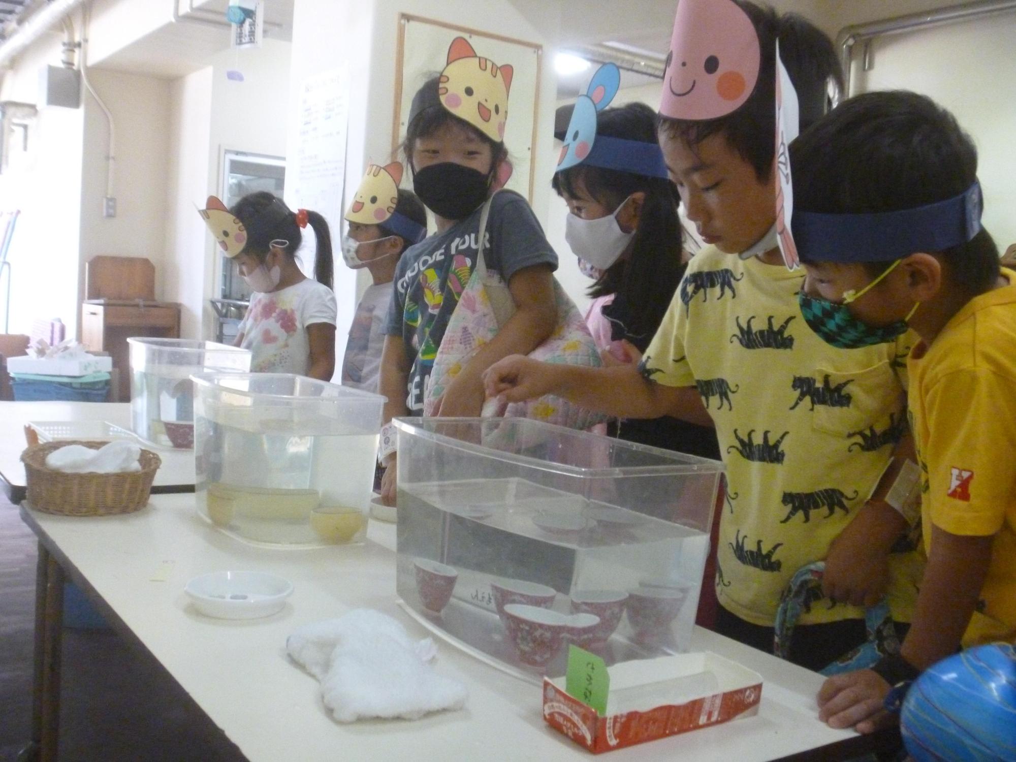 水槽の中に置かれた器に向かって1円玉を落とす男児の様子を左横で見守る男児の写真