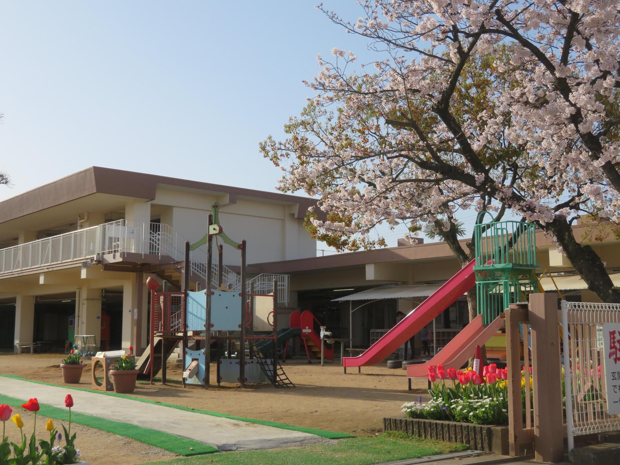 保育園の入口の横に桜の木と滑り台があり地面には緑と白のシートが敷かれ奥には保育園の校舎がある様子を入口側から全体的に撮影した写真