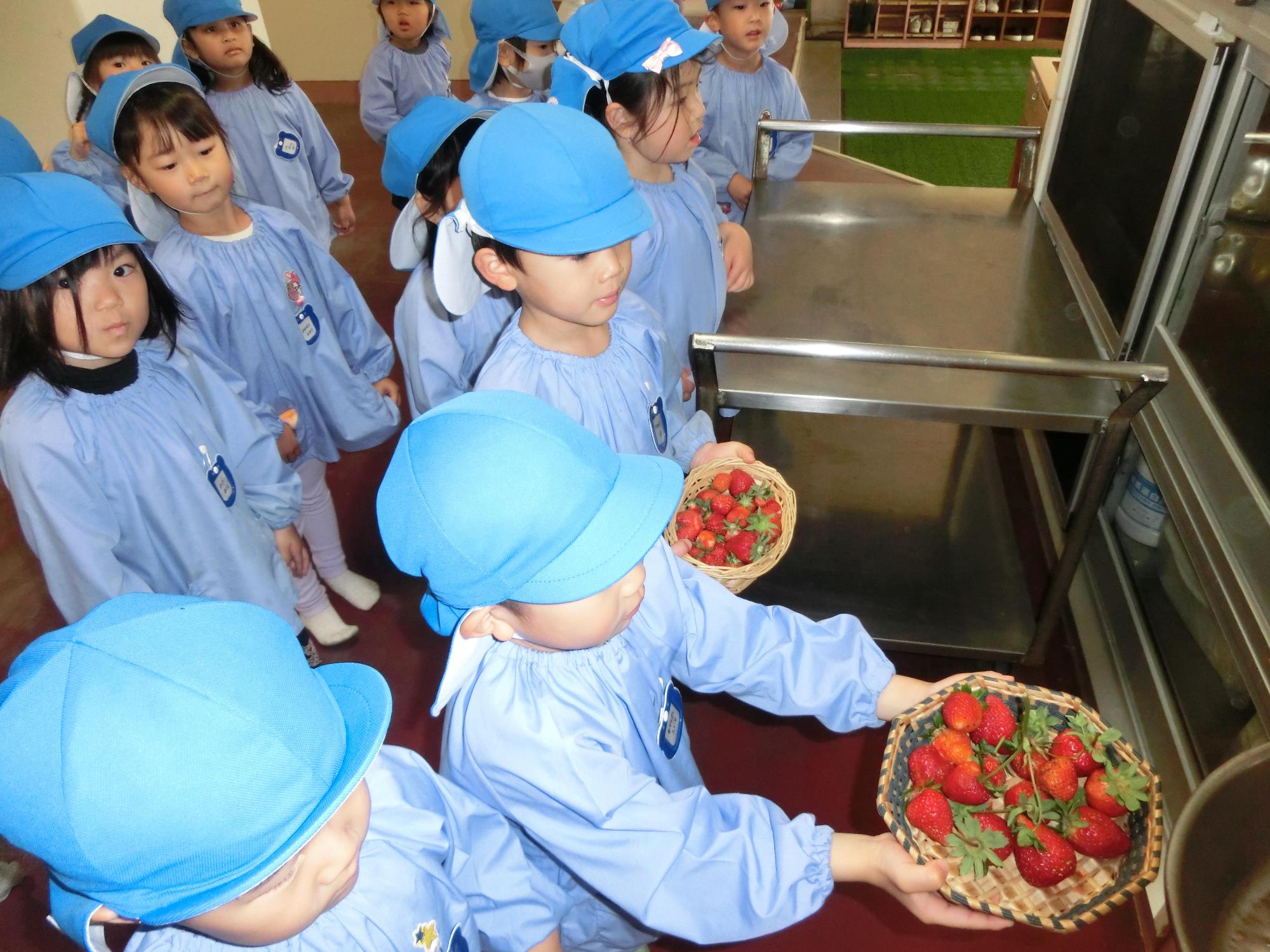 青い帽子を被った保育園児たちがカゴに入ったイチゴを給食室のステンレス台がある場所に提出しようとしている写真