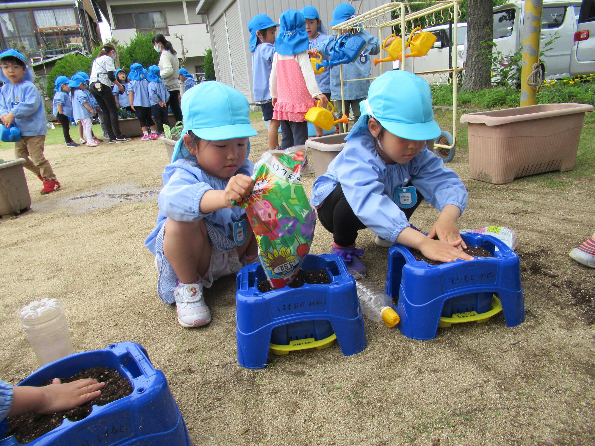 袋に入った培養土をボックス型の植木鉢に移し替えている保育園児とその横で植木鉢の土を平らにならしている保育園児の写真