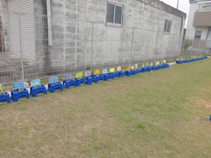 園庭の柵沿いに1列にずらっと並べられたたくさんの青い鉢の写真