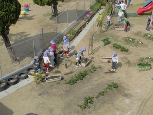 園庭で手前には畑があり、プランターの周りにいる園児を上から見下ろした写真