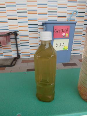 ペットボトルに入った緑がかった黄色い水の写真