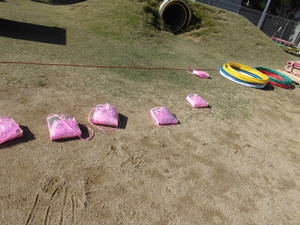 ピンク色の球が入ったバッグが等間隔に並べられている写真