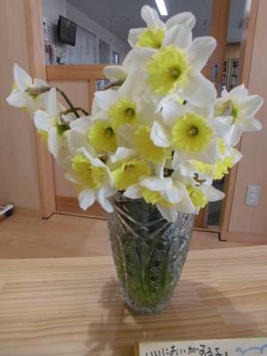 黄色いがくと白い五輪形の花弁を持つラッパズイセンが花瓶に飾られている写真