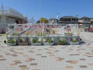 年長さん達が松村川沿いにお花見に行った写真