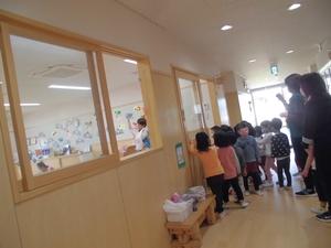 廊下からひよこ組の手作りこいのぼりを眺める子供たちの写真