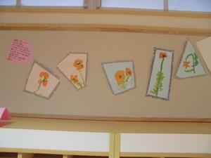 園児たちが描いたひなげしの花の絵が壁に貼られている写真