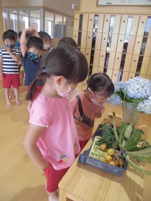 机の上に並べられた果物を眺める子供たちの写真