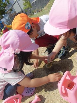 園庭の砂の上にしゃがみこみ、カップを囲んで砂と水を混ぜて遊ぶ子供たちの写真