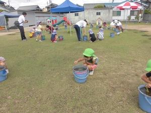 園庭の芝生の上に散らばって、中に土の入ったバケツに手を入れて田植えをしている子供たちの写真