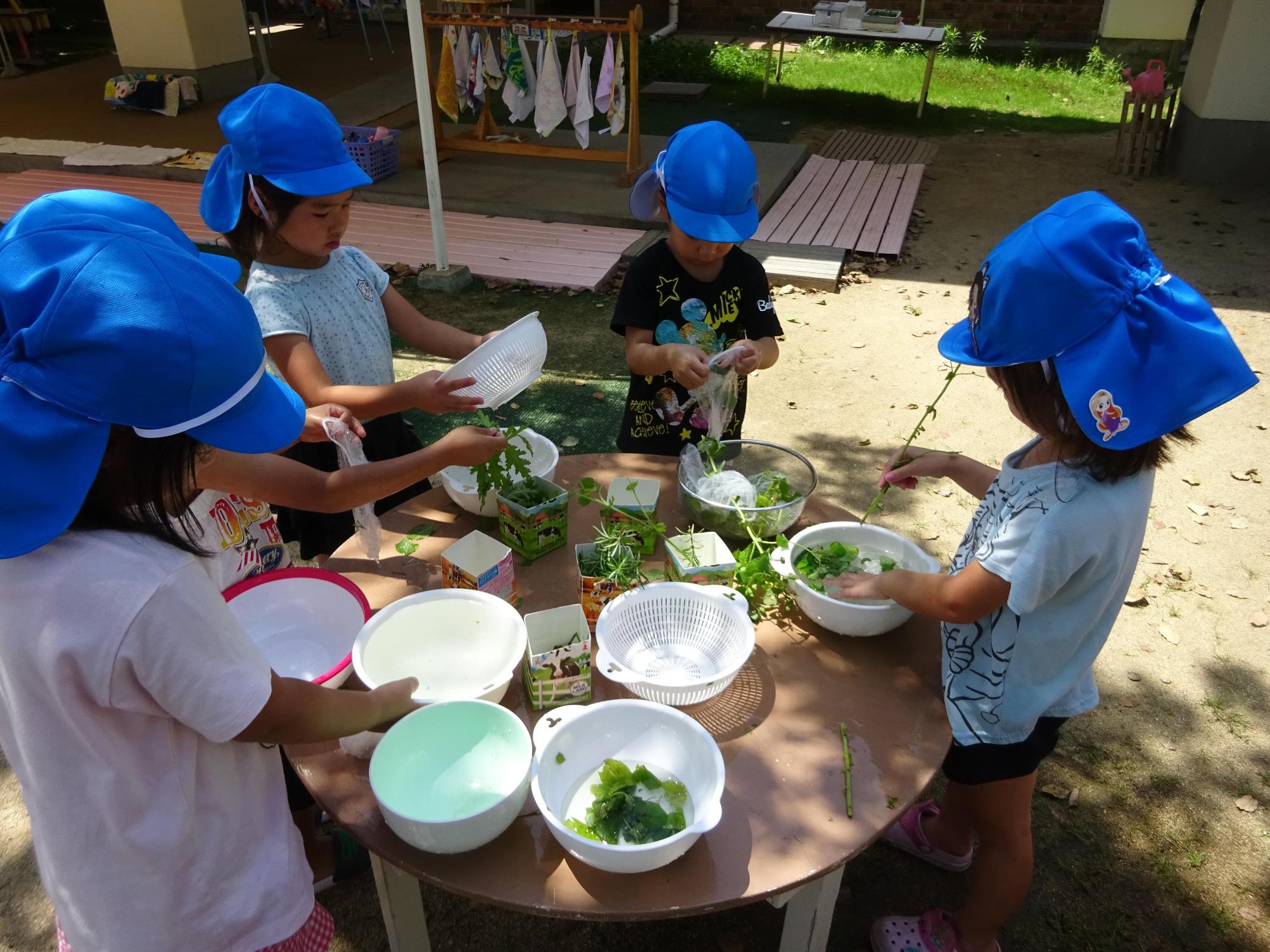 園庭の木陰でボウルに入ったミントを触って香りを楽しむ園児5人の写真