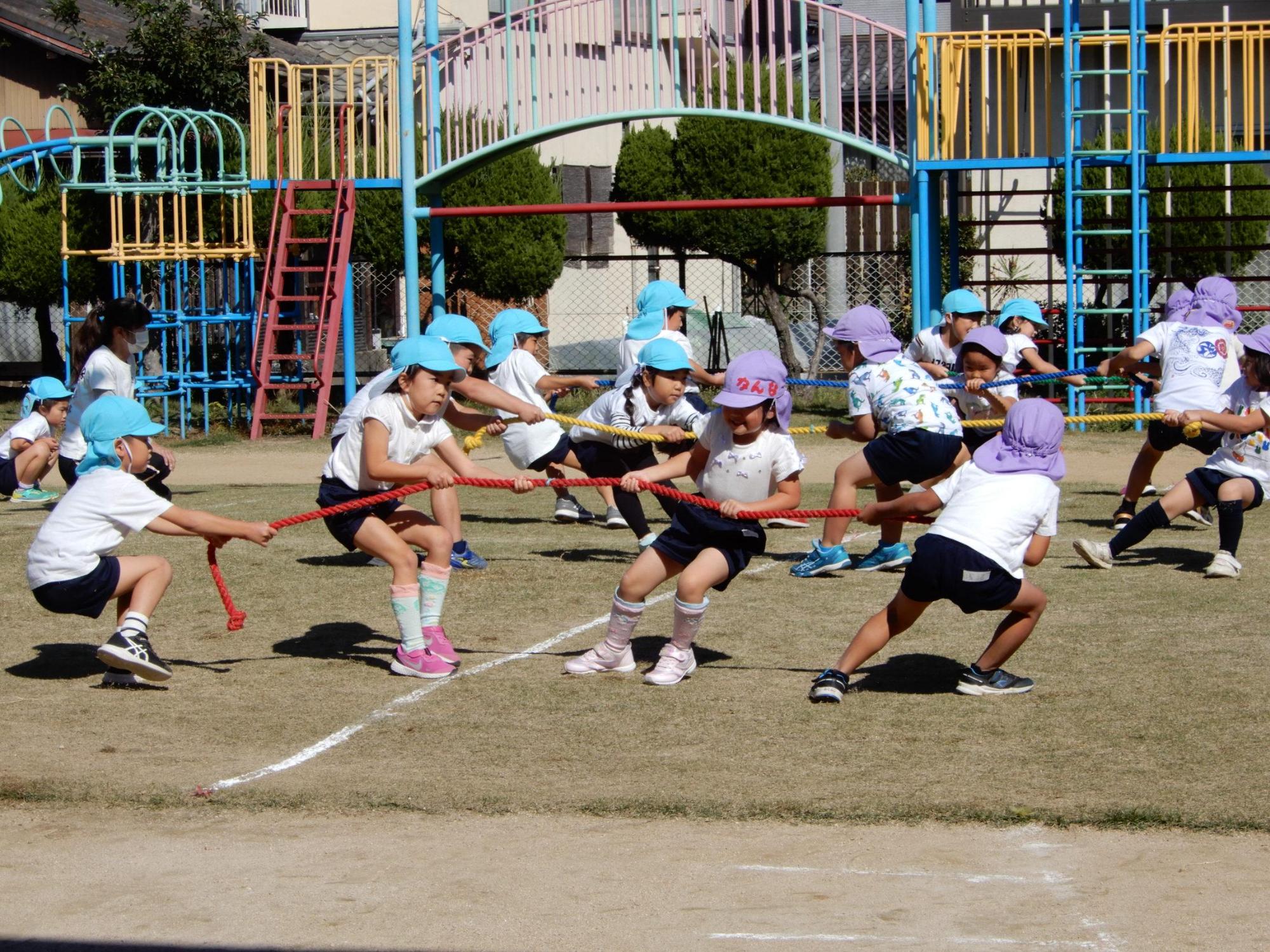 真ん中に引かれた白線の後ろに立って綱引きをする5歳児クラスの園児たちの写真