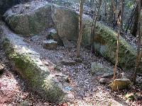竜山の採石遺構31箇所目地点の写真。石の切り出し面が草木に覆われている様子が確認できる