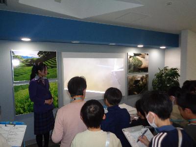 映像でお茶の抽出工程を学びました