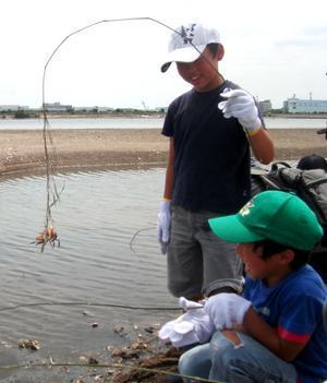 干潟に流れる小川にて、葦の竿で釣り上げたカニを見る子供の写真